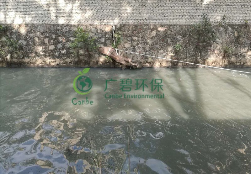 順德（dé）灝景灣河湧水質應急（jí）處理治理(圖4)