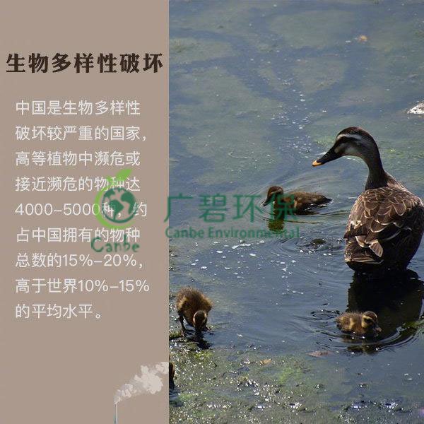 世界地球日 狼友视频免费版能為地球做（zuò）些（xiē）什（shí）麽？(圖6)