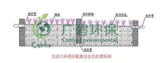 養豬場汙（wū）水處理（lǐ）方法 養豬（zhū）場廢水處理設備的應用(圖5)