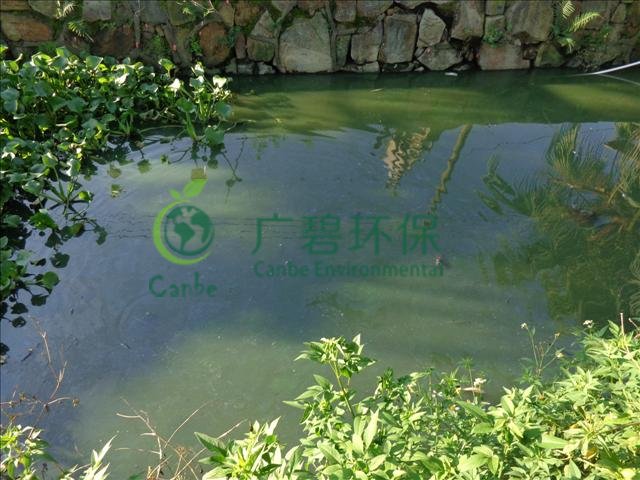 城（chéng）市河道汙染原因及治（zhì）理措施  (圖3)