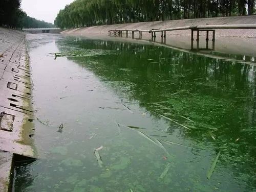 城市黑臭河道（dào）如何治理？河（hé）道黑臭水體治理思路(圖1)