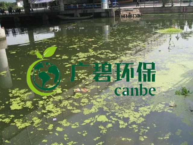 城市黑臭河道如（rú）何治理？河道黑臭（chòu）水體治理思路(圖3)