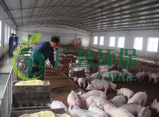 什麽是養（yǎng）殖廢水？養殖廢水處理工藝(圖1)