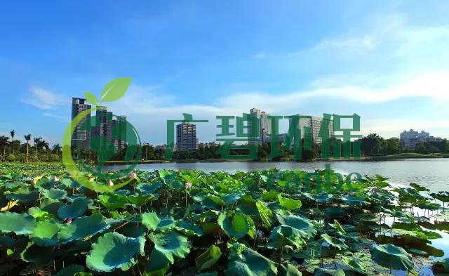 佛山市各區（qū）鎮空氣質量與水環境質量排名2019年1-5月(圖1)