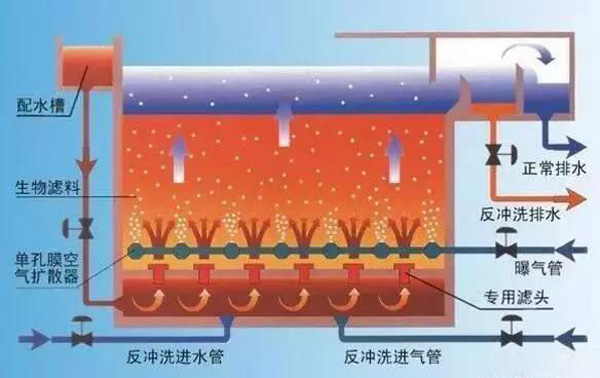 曝氣池和(hé)曝氣生物濾池有(yǒu)什麽區(qū)別