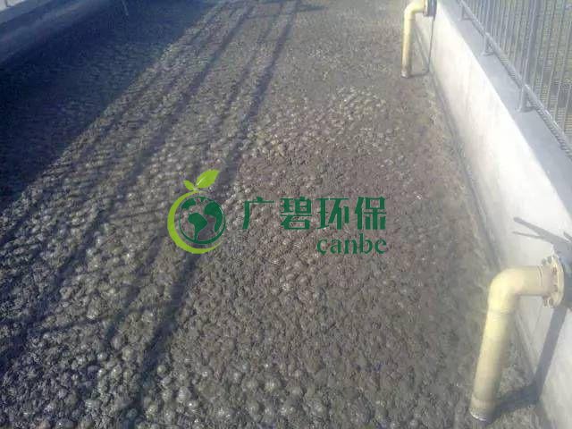 汙泥發黑是什麽原因造成？汙泥發（fā）黑經驗分享(圖1)