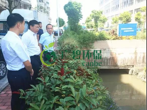 佛山市生態環境局長楊（yáng）永泰視察（chá）高明黑臭水體圍（wéi）拳湧整治工（gōng）作(圖2)