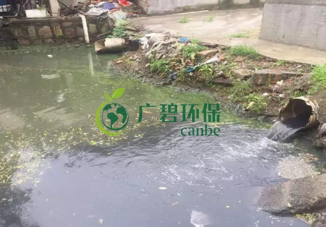 佛山南（nán）海黑（hēi）臭（chòu）河（hé）道生物治理案（àn）例(圖2)
