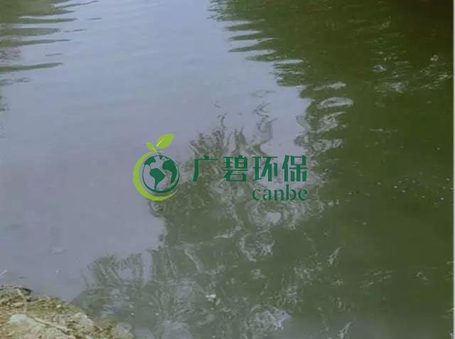佛山南海黑臭河道生物治（zhì）理案例(圖3)