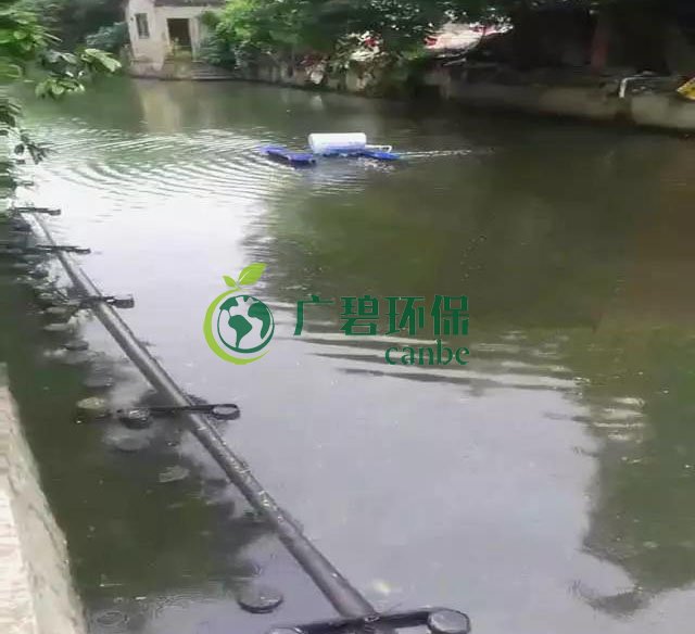 佛山南海黑臭（chòu）河道（dào）生物治理（lǐ）案例(圖4)
