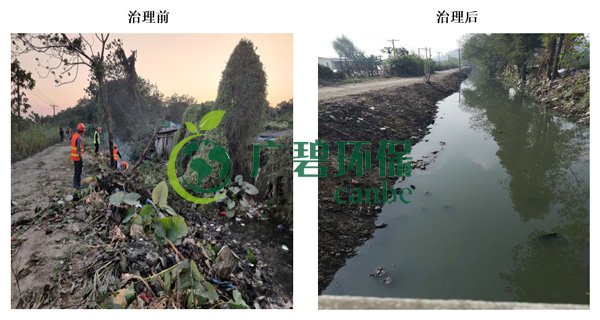 廣碧環保（bǎo）金陡湧河湧黑臭水體 治理服務項目順利通過驗收(圖2)
