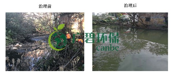 廣碧環保金陡（dǒu）湧河（hé）湧黑臭水體 治理服務項目順利通過驗（yàn）收(圖3)