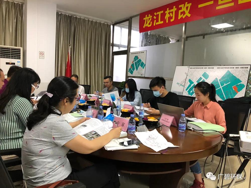 廣碧（bì）環保《龍江鎮坦西（xī）工業區地塊（kuài）土（tǔ）壤汙染狀況調查報告》通過評審(圖5)
