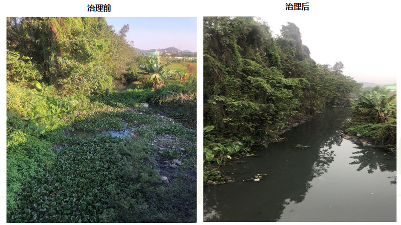 金陡湧水係黑臭水體綜合治理工程(圖2)