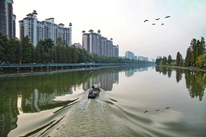順德大良石洛湧、八坊湧整治見（jiàn）成效(圖1)